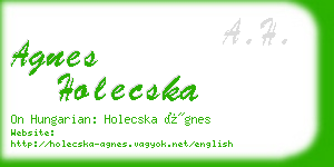 agnes holecska business card